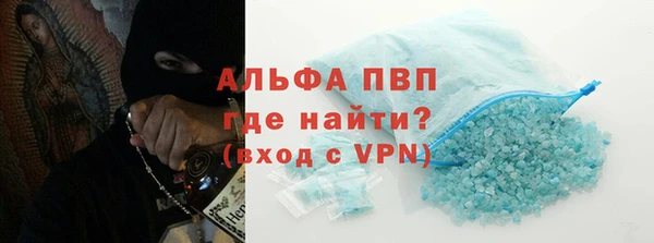 индика Новозыбков