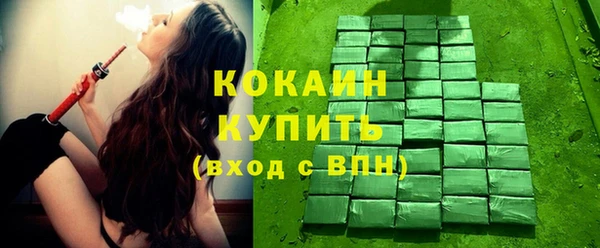 индика Алексеевка