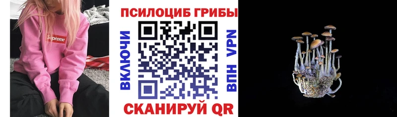 Псилоцибиновые грибы Cubensis  Томилино 